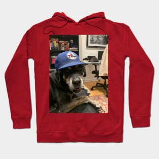 LILY DOG COPYPASTA Hoodie